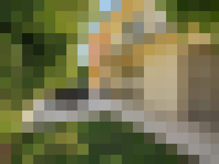 / #15