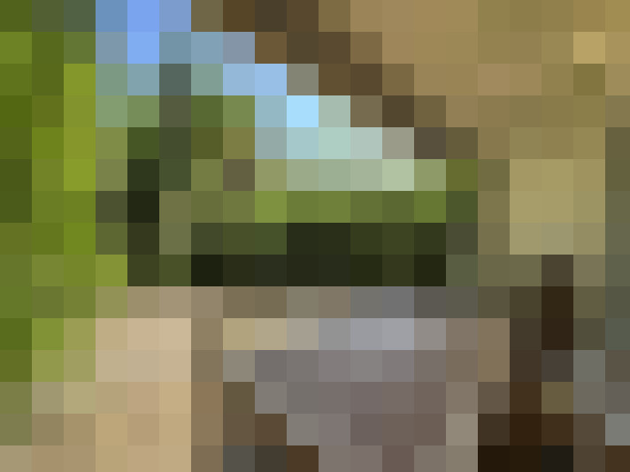  / #13
