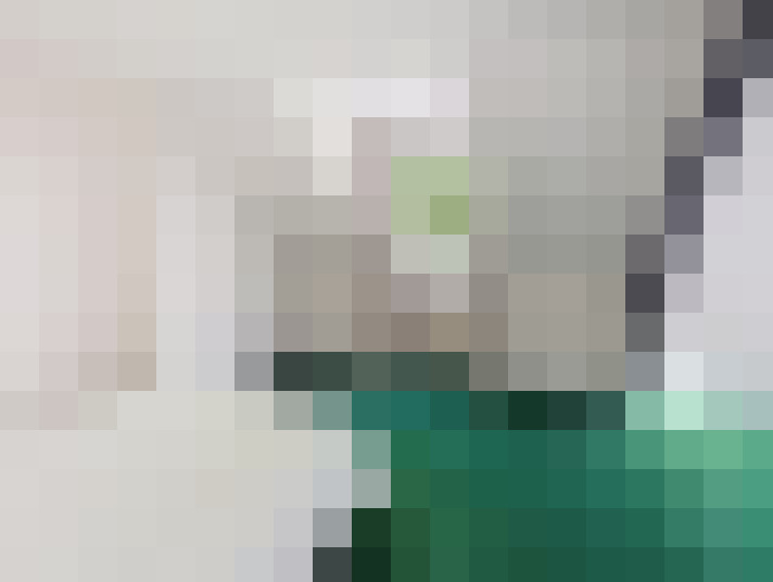  / #24