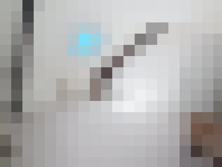  / #19