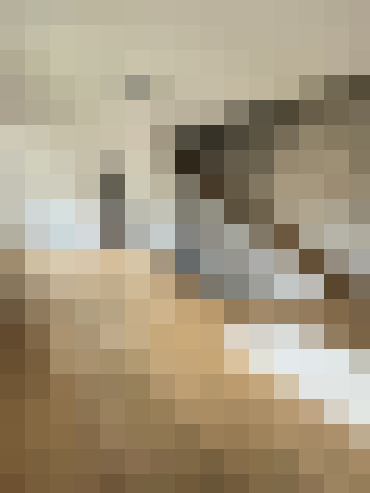  / #8