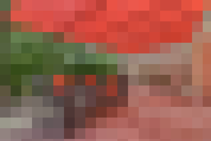  / #14