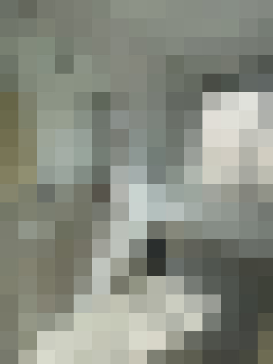  / #15