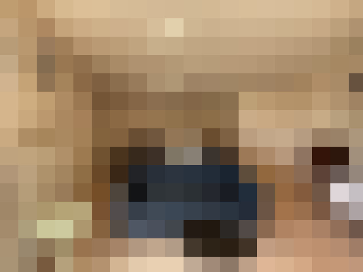  / #23