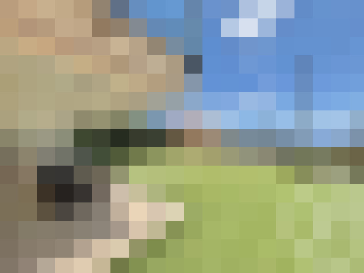 / #14