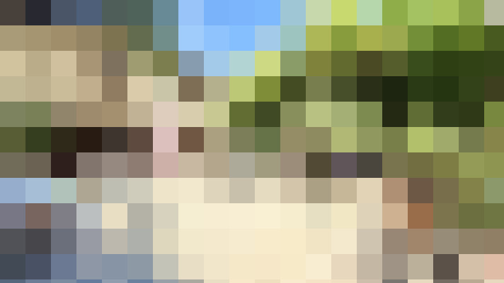  / #7