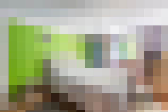  / #17