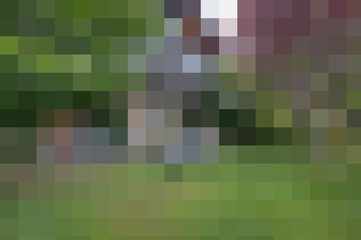  / #18