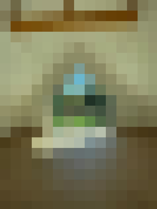  / #15