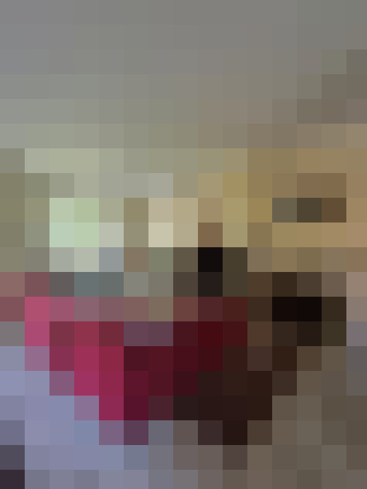  / #14