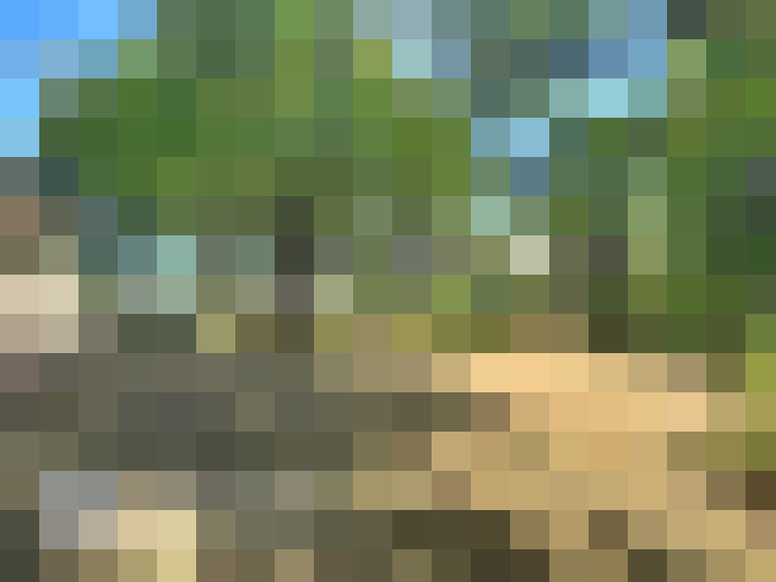  / #18