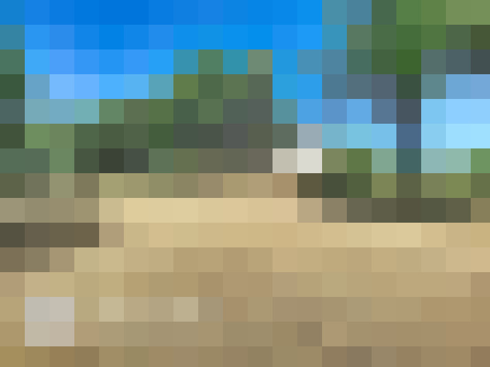  / #15