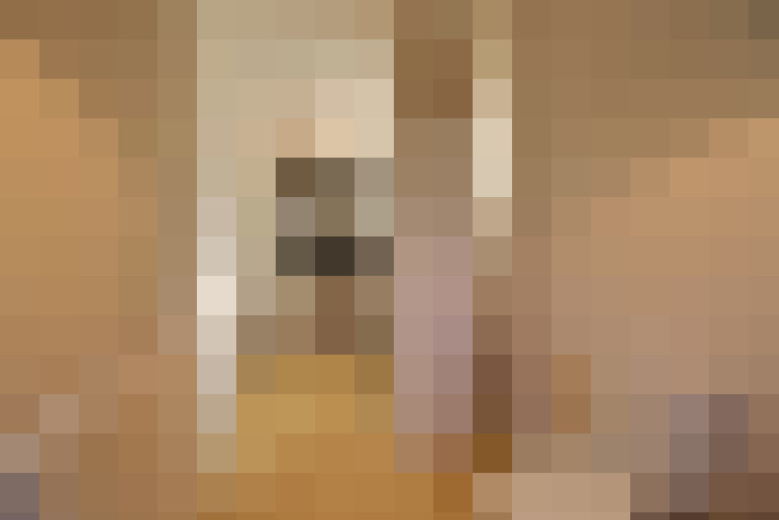  / #12