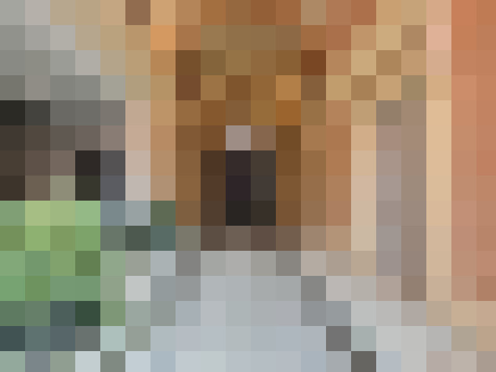  / #17
