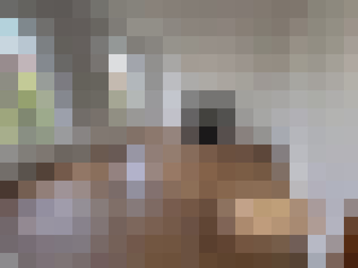  / #14