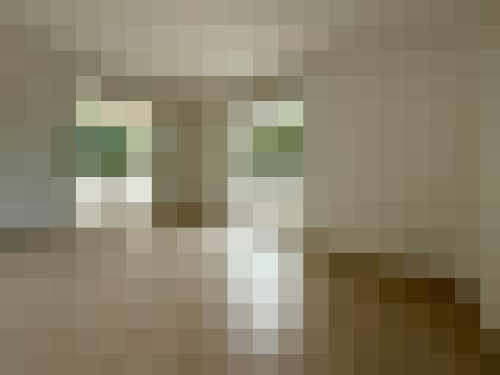  / #7