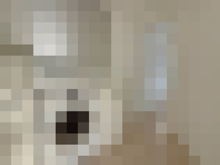  / #14