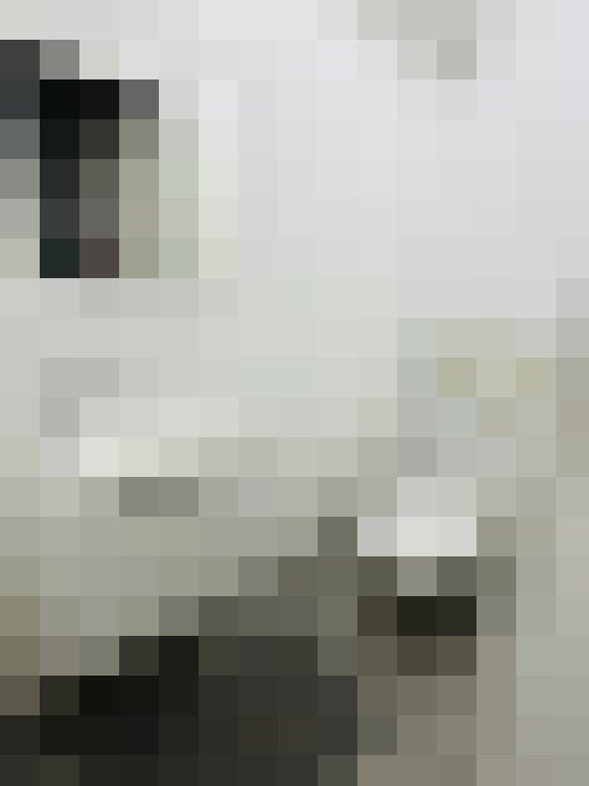 / #15