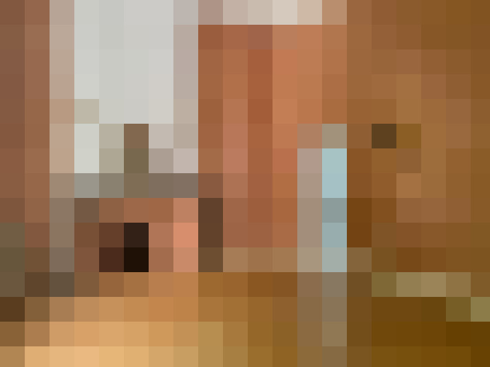  / #8