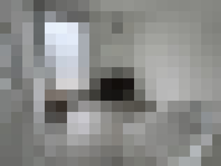  / #8