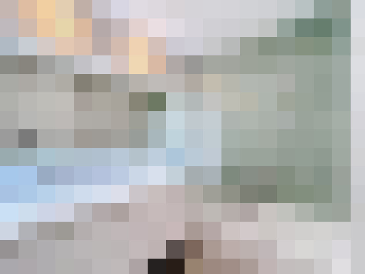  / #22