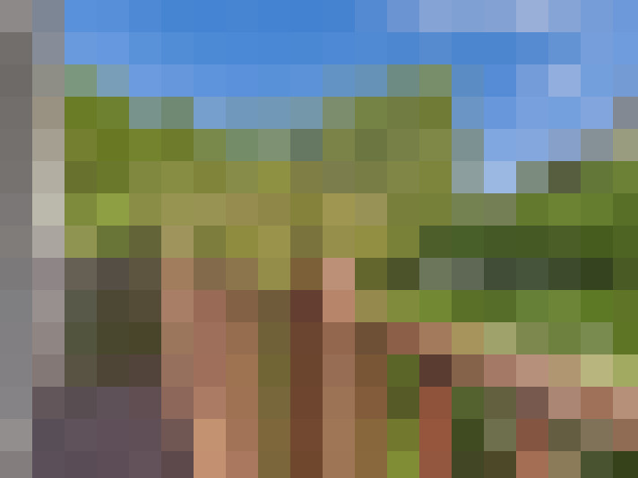  / #16