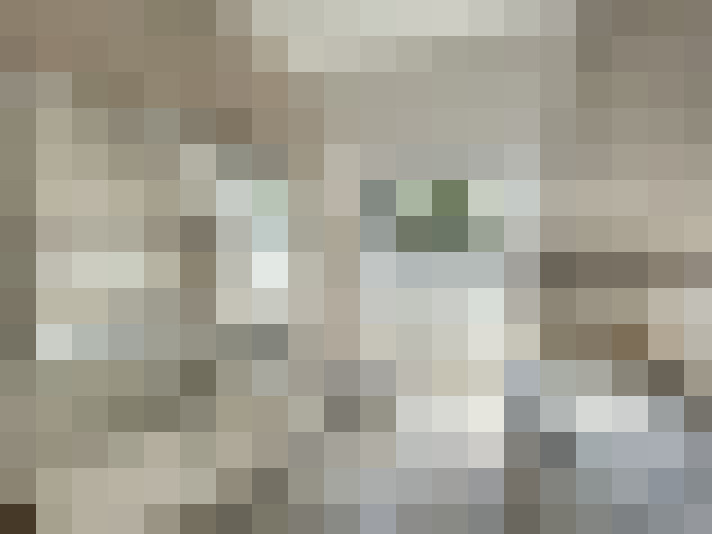  / #11