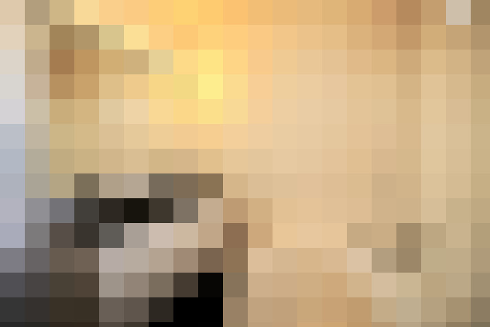  / #15