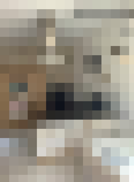  / #15