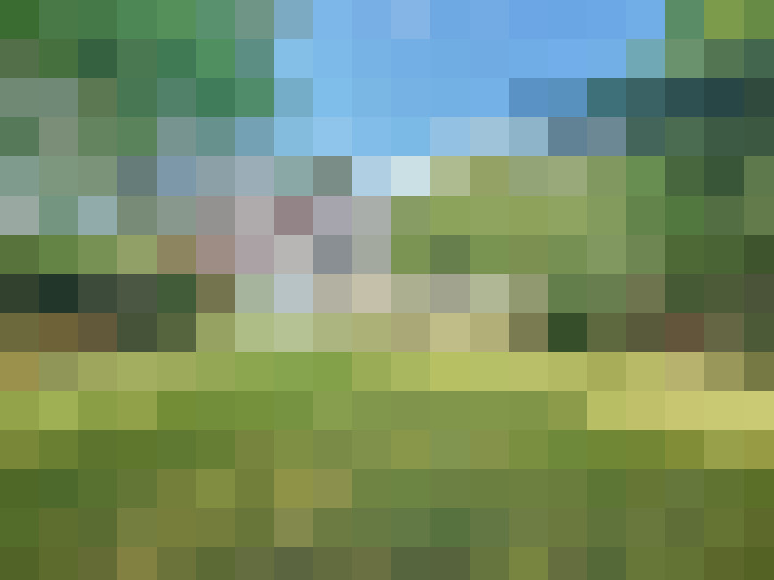  / #17