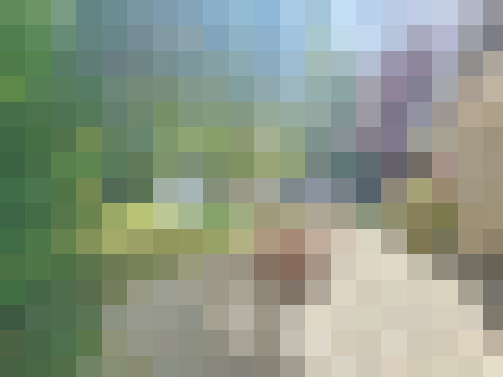 / #16