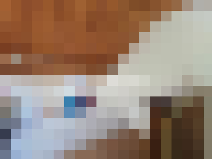  / #15