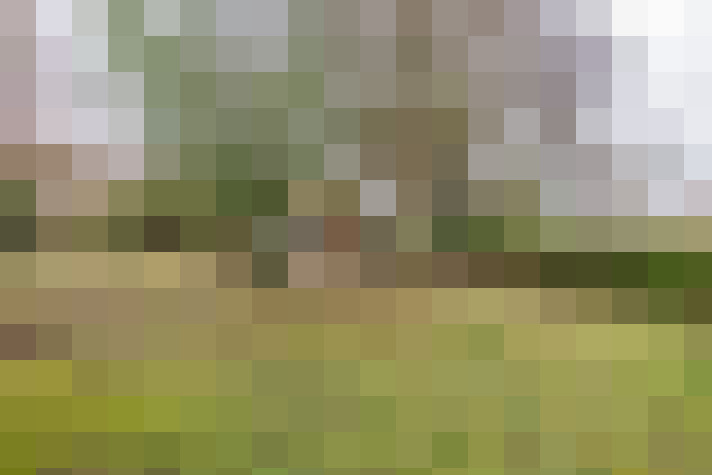  / #17