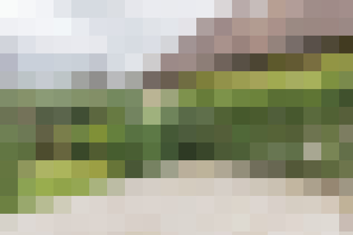 / #18