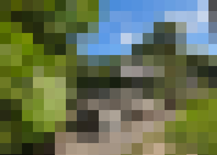  / #18