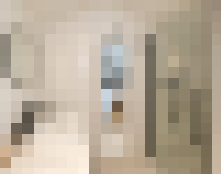  / #16