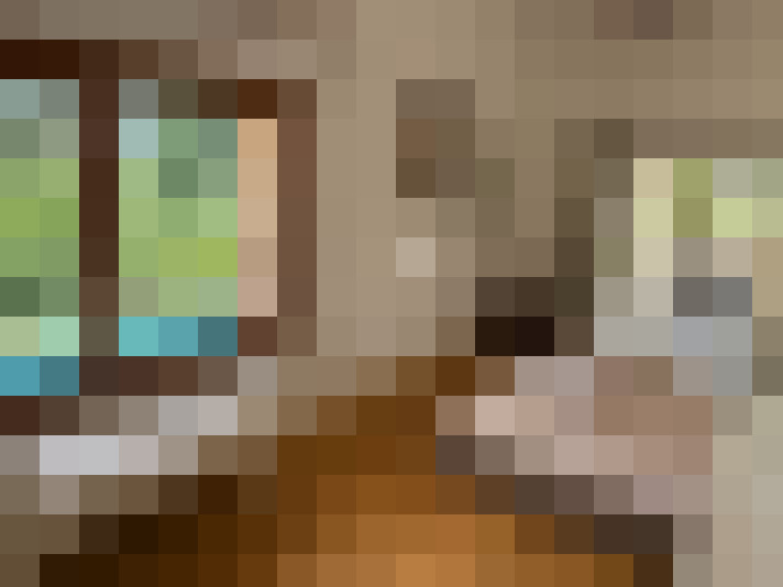  / #11