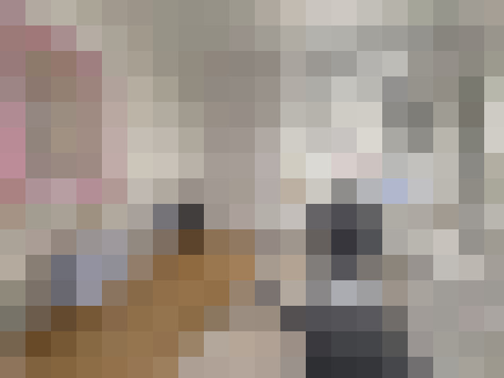  / #13