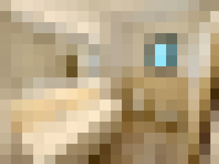  / #13