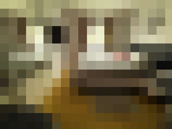  / #13