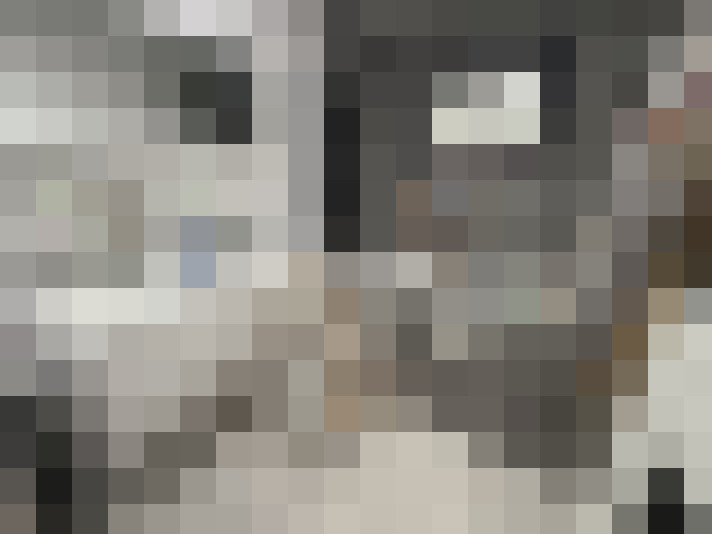  / #14