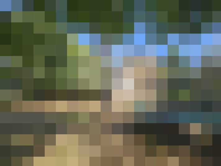  / #12