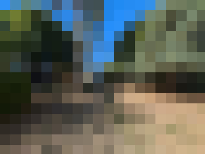  / #15