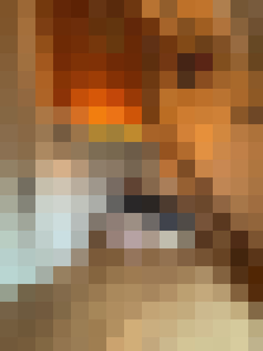  / #17