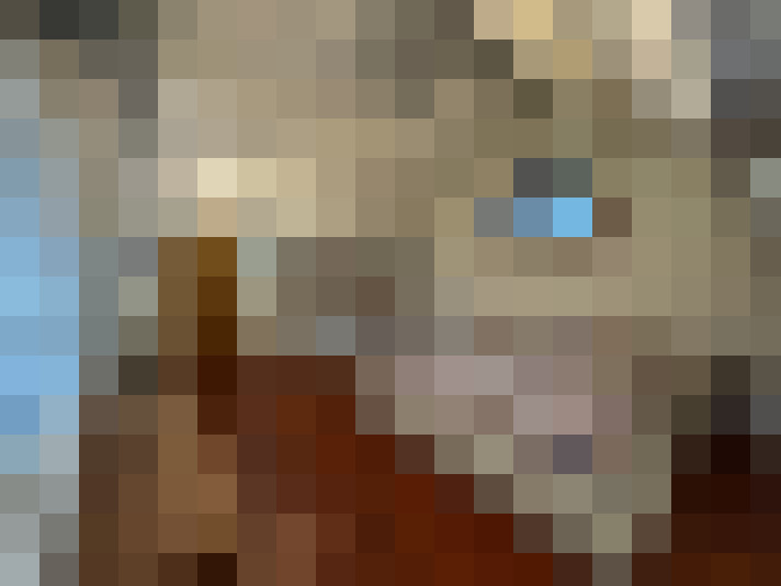  / #15