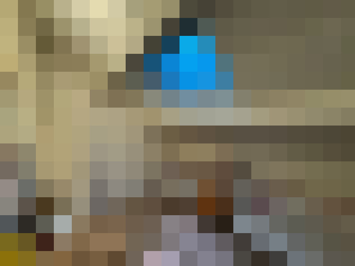  / #11