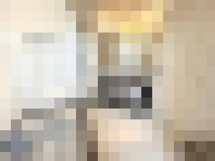  / #14