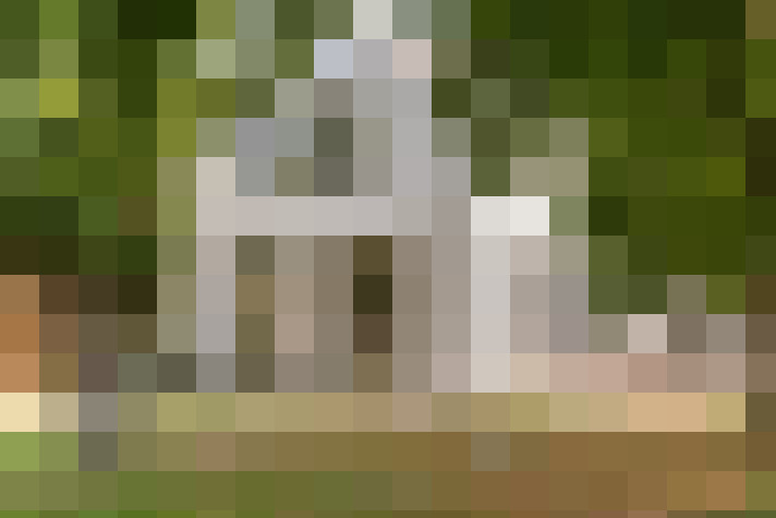  / #19