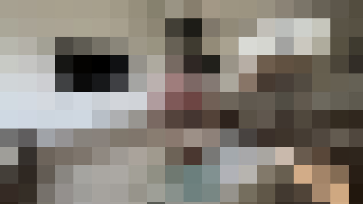  / #17