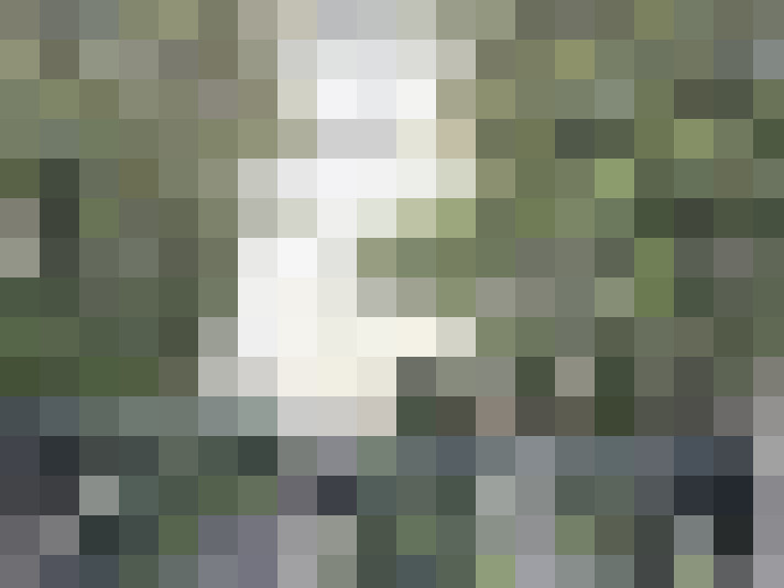 / #15